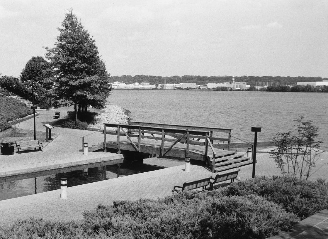 [Phót~ó cré~dít: D~HR, cá~ 1996]